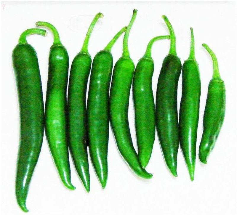 granthi हरी मिर्च Green Chillies High Quality Seed  (500 per packet)