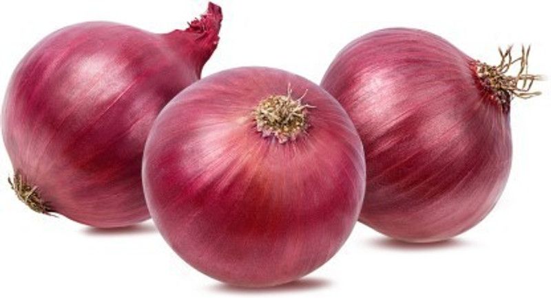 XOLDA Onion Seed  (51 per packet)