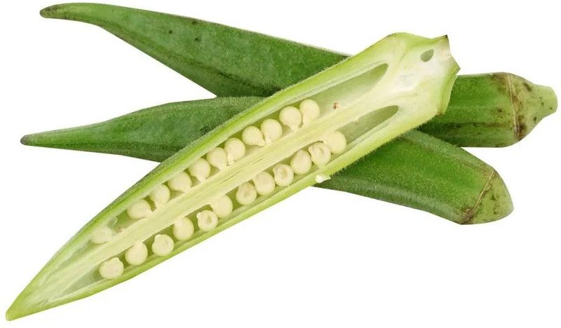 Nodoc Lady finger Seed  (45 per packet)