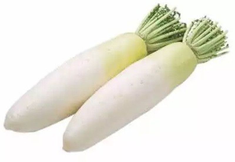 VINTI High Quality White Radish मूली के बीज Seed  (300 per packet)