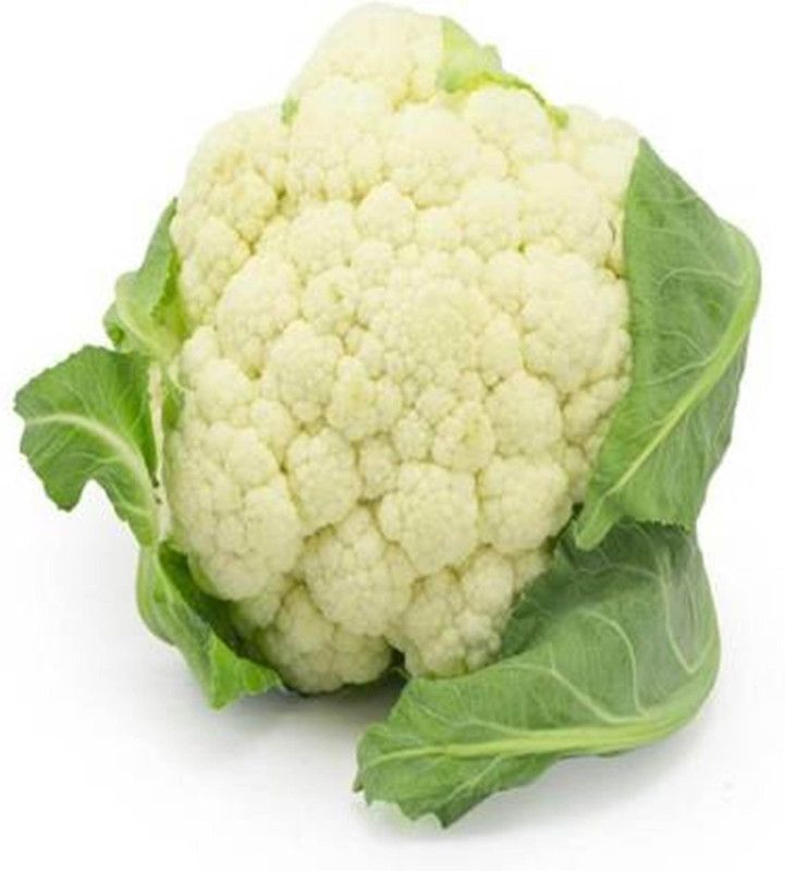 FRESH SEEDS Cauliflower Seeds, Phool Gobhi Vegetable Seeds For Kitchen Garden(10 Seeds) Seed  (10 per packet)