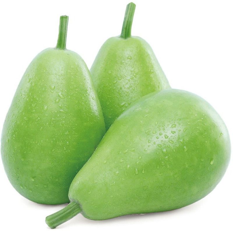 UGRA Round Bottle Gourd, Ghiya Seed  (40 per packet)