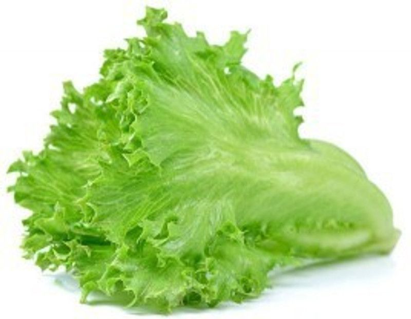 Mozette Lettuce Curry Seed  (10 per packet)