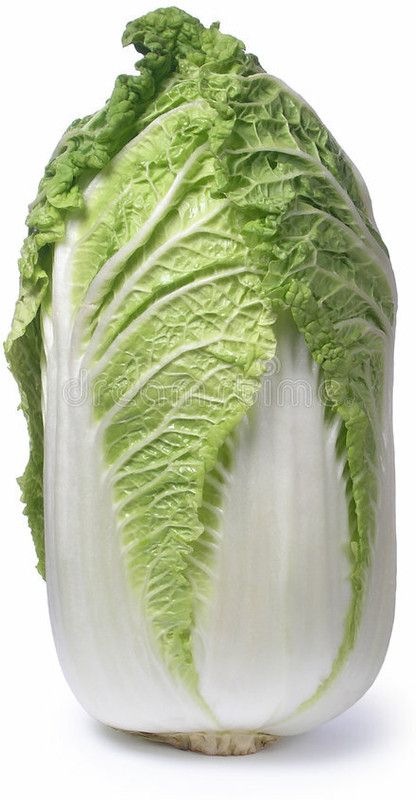 XOLDA Organic Chines cabbage Seed  (29 per packet)