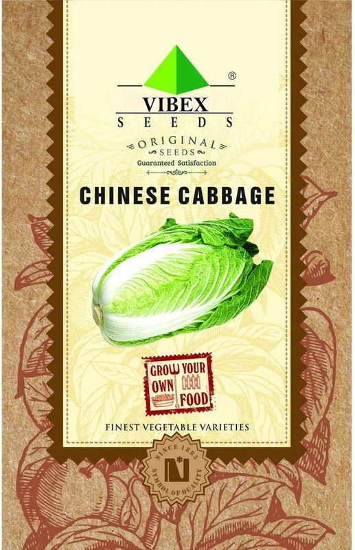 WILLVINE Chinese Cabbage Seeds - (2000 Seeds) Seed  (2000 per packet)