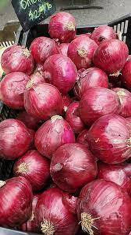 PMB Organic Red oniion Seed  (22 per packet)