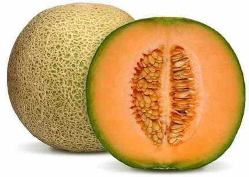 JRYU Muskmelon (Kharbuja) Fruit Seeds For Home Gardening Seed  (35 per packet)