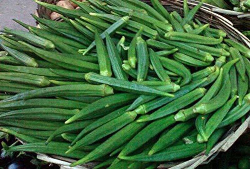 KANAYA Okra Seed  (200 per packet)