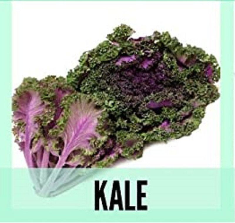 Qualtivate Kale Seed  (200 per packet)
