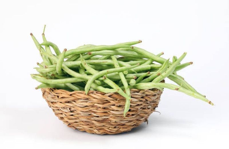 ZOTIKOS Cluster Bean Seed  (40 per packet)