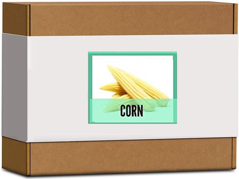 Qualtivate Corn Seed  (500 per packet)