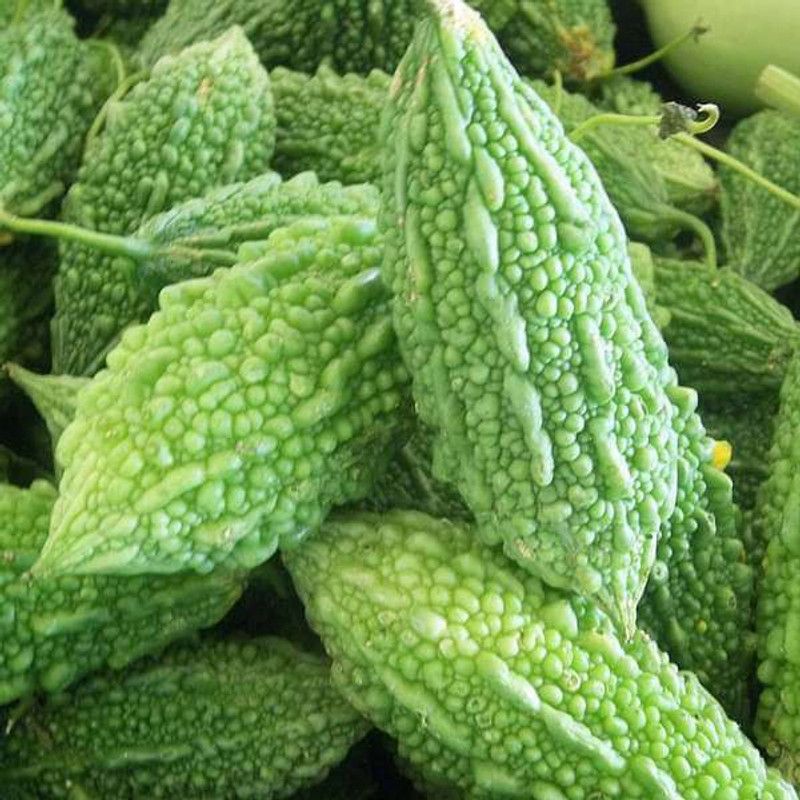 Corofitam Bitter Gourd (Karela) Organic Desi Seeds Seed  (150 per packet)