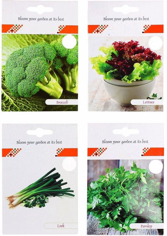 VibeX AFC-76-4-Varieties-Broccoli, Lettuce, Leek, Parsley Seed  (140 per packet)