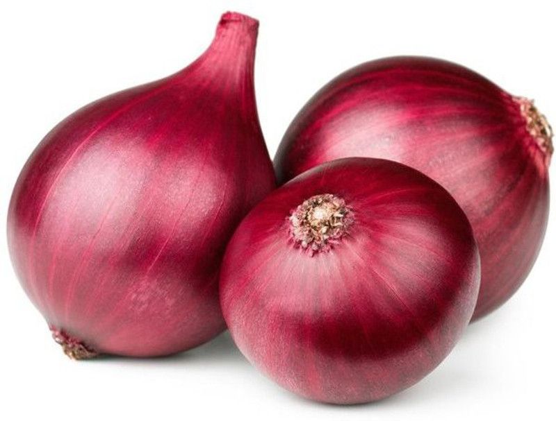 CITY FARMER PLUS ONION RED (Nasik Red N-53) VEGETABLE SEEDS PACK OF 100 Seed  (100 per packet)