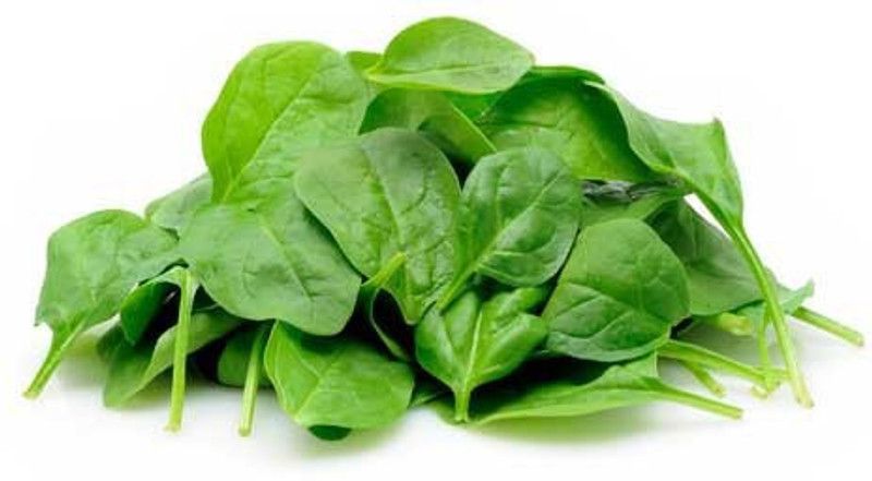 KRISHNA Baby Spinach / Palak seed Seed  (190 per packet)