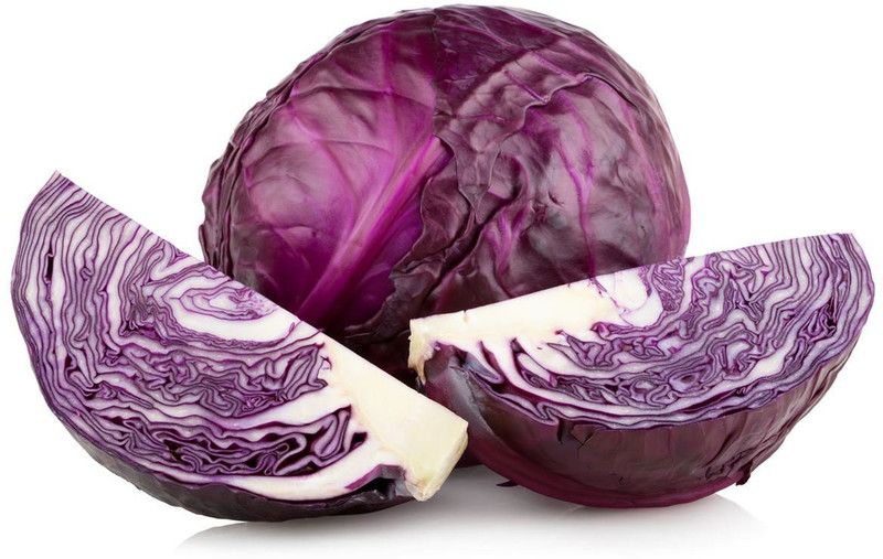 Nodoc Red Cabbage Seed  (31 per packet)
