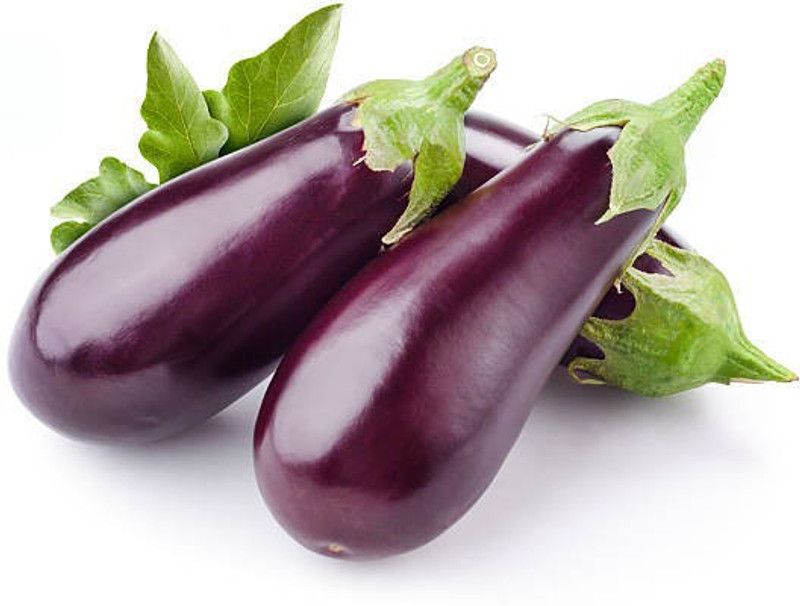 Platone Egg Brinjal Seed  (50 per packet)