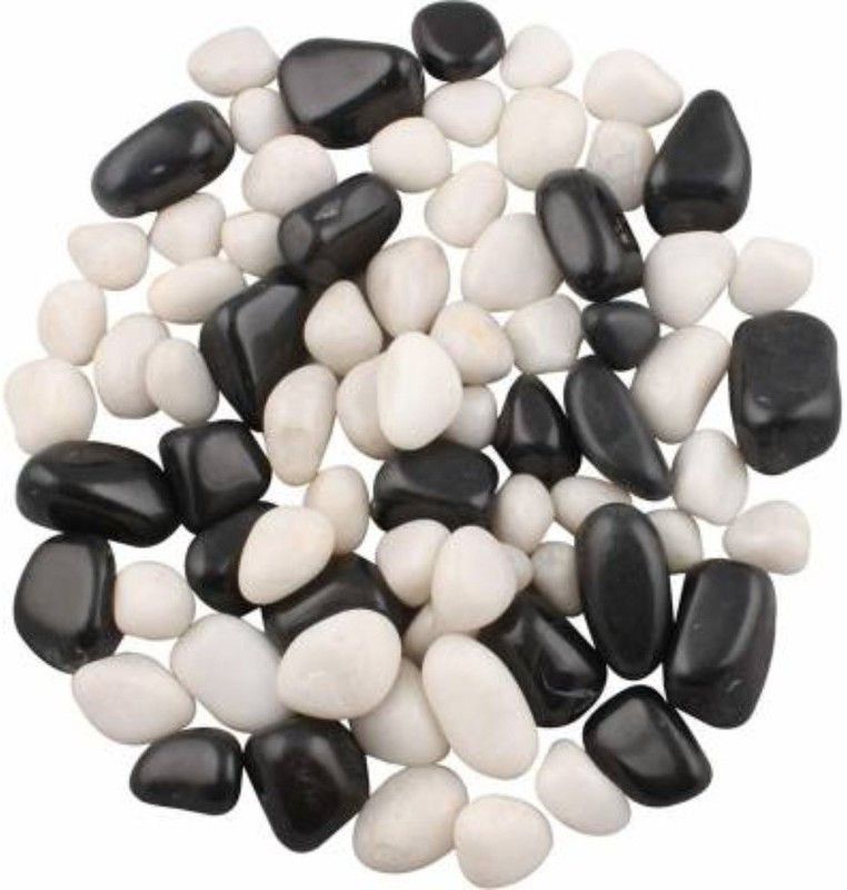 Puzzled Stone Decorative Polished Assymetric Marble Stone Pebbles For Vase Filler Plant Pots Aquarium Fish Tanks Home Garden & Outdoor Decoration (Black & White, 2 Kg) Polished Angular, Asymmetrical Marble Pebbles  (Black, White 2 kg)