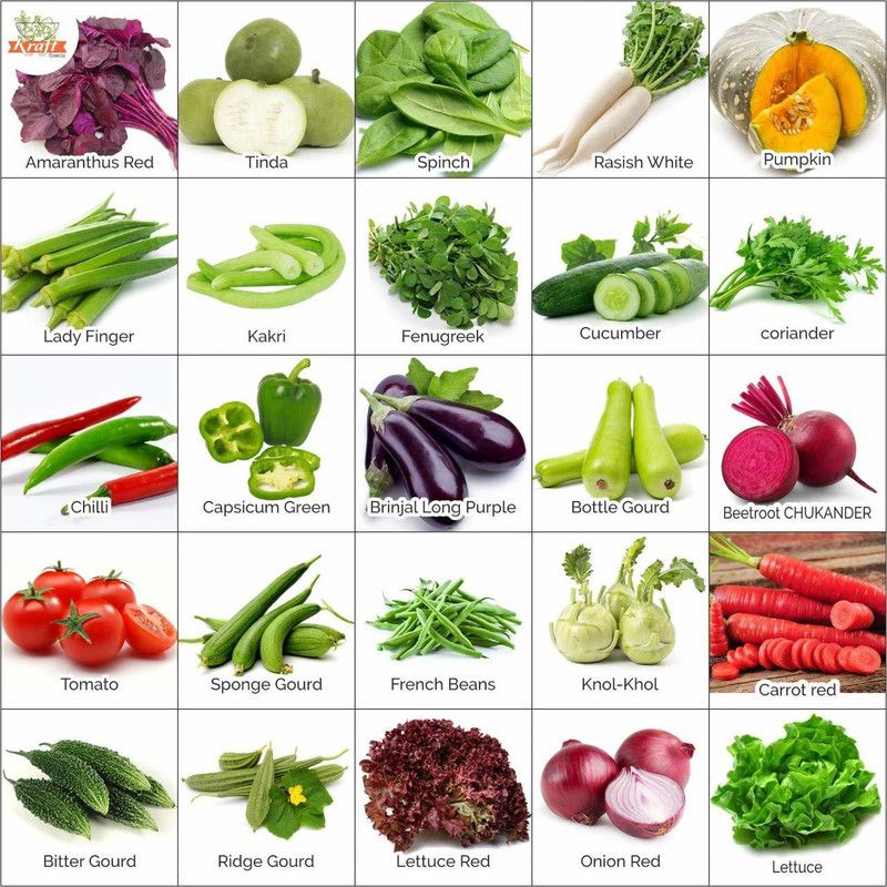 VibeX Vegetable Seeds 25 Varieties Of Seeds Tested And Packed Seed  (875 per packet)