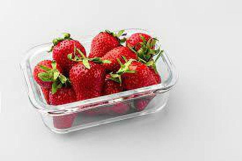 XOLDAA HYBRID STRAWBERRY FRUIT SEEDS Seed  (131 per packet)