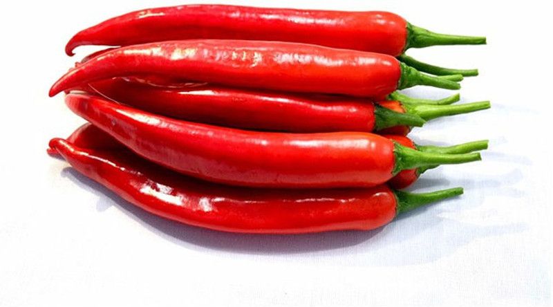 granthi Big Red Chili Seed  (1200 per packet)