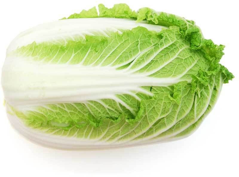 Mozette Chinese Cabbage plant Seed  (22 per packet)