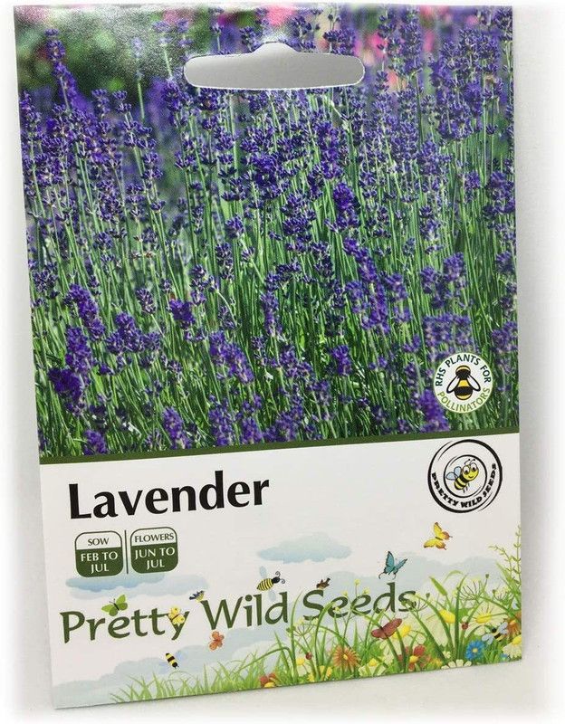 WILLVINE Lavender - Lavendula ANGUSTIFOLIA Seed  (500 per packet)