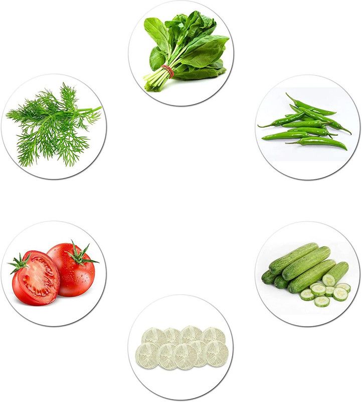 CYBEXIS Salad Vegetable Seed 5 Variety with Free Germination Root Plug Seed  (10 g)