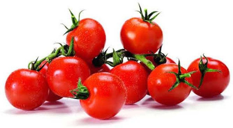 Gromax India Summer Tomato Vegetable Seeds F1 Hybrid Seed  (40 per packet)