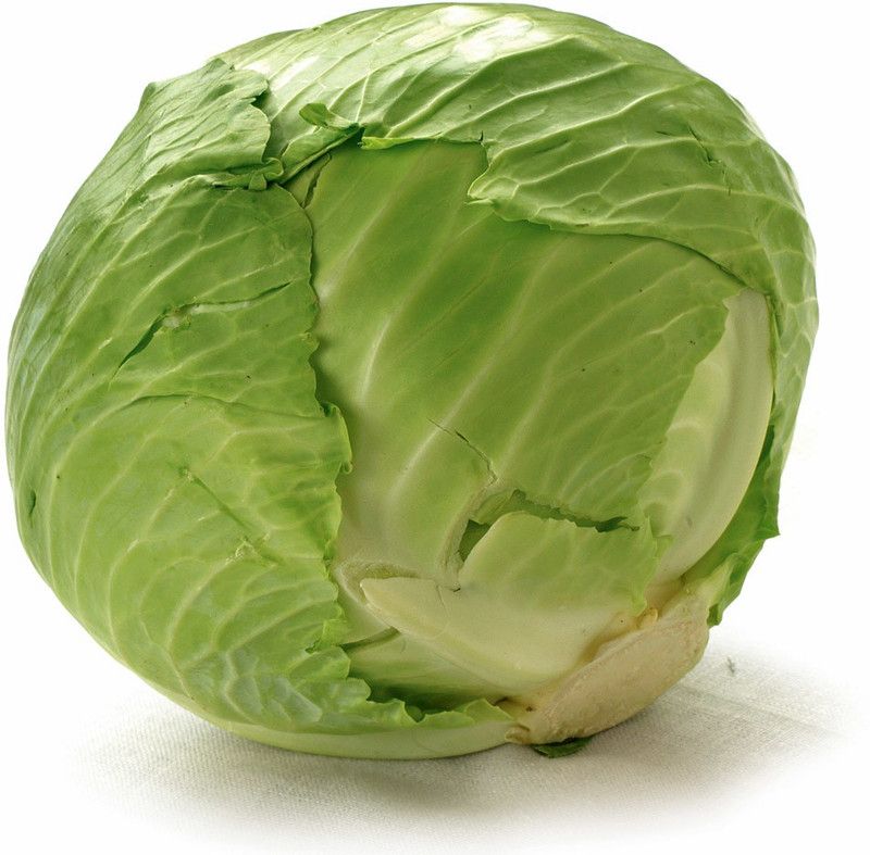 Nodoc Cabbage Hybrid Seed  (12 per packet)
