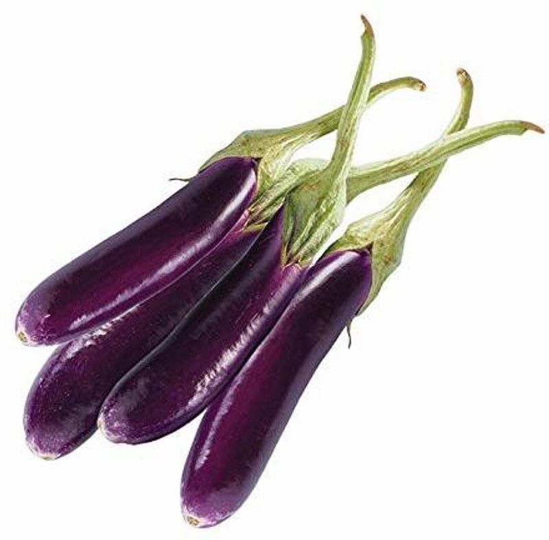Nodoc Branjal purple long Seed  (70 per packet)
