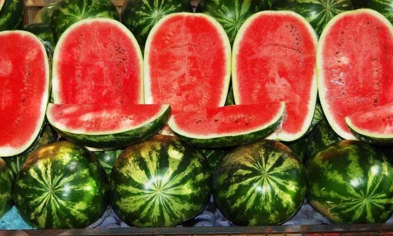 VibeX GBPUT-27 - Giant Astrakhan Watermelon - (450 Seeds) Seed  (450 per packet)