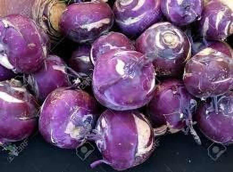 MAA Knol Khol, Kohlrabi Seed  (11 per packet)