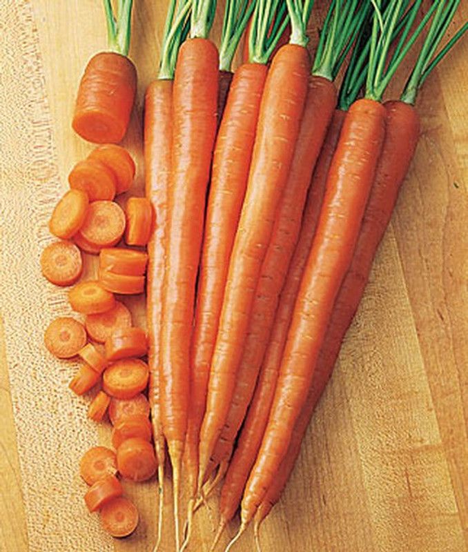 VibeX Carrot Hybrid Seed  (120 per packet)