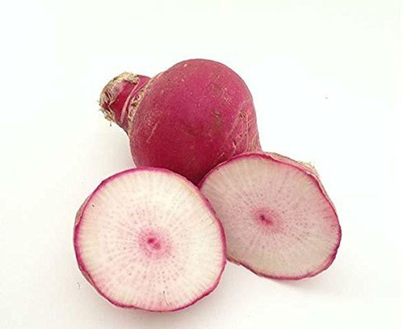 KANAYA Turnip (Shalgam ke Beej) Hybrid Vegetable Seed  (25 per packet)