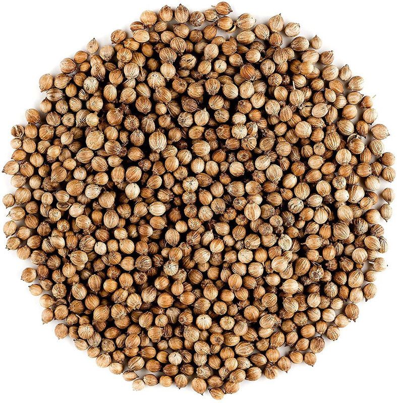 MKR Enterprises Coriander Seed  (50 per packet)