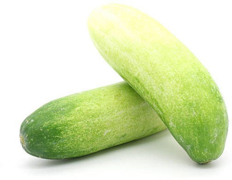 ZOTIKOS Cucumber Seed  (50 per packet)