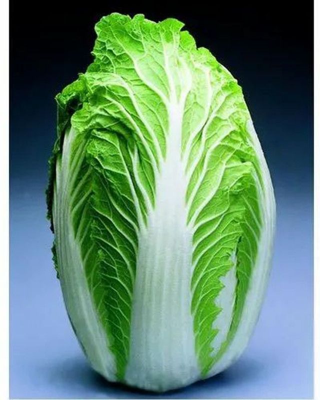 XOLDA Organic Chines cabbage Seed  (28 per packet)