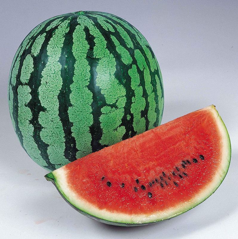XOLDA WaterMelon Hybrid Seed  (60 per packet)