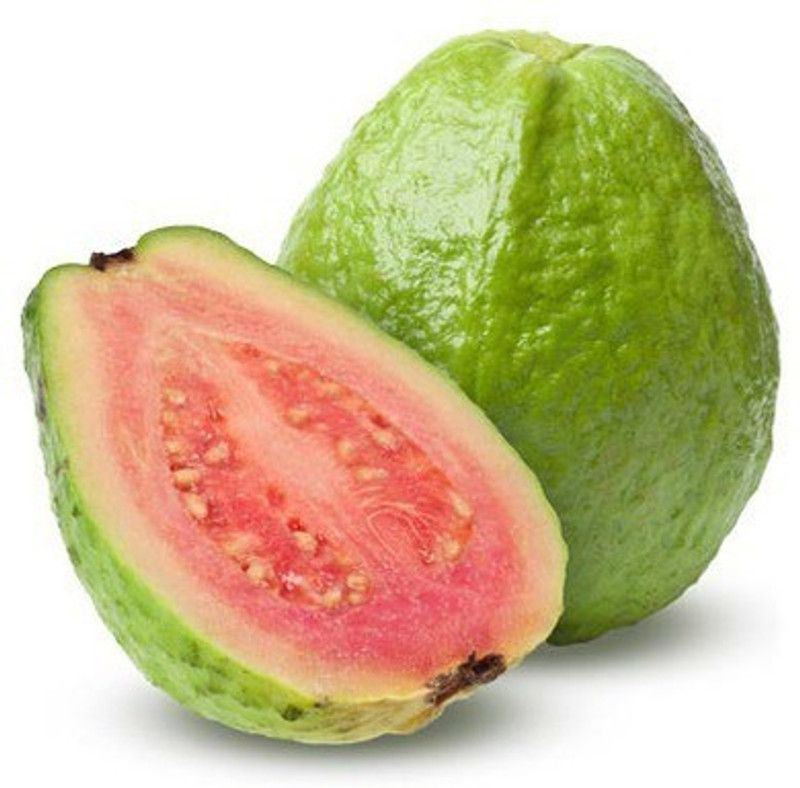 Nodoc Guava Amrood Seed  (46 per packet)