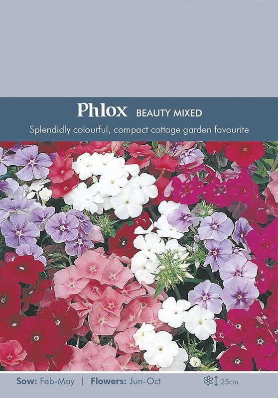CYBEXIS Flower - Phlox Beauty Mixed Seed  (1 g)