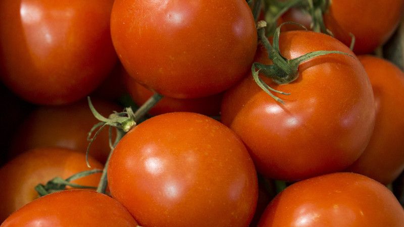 FRESHO Tomato Seed  (90 per packet)