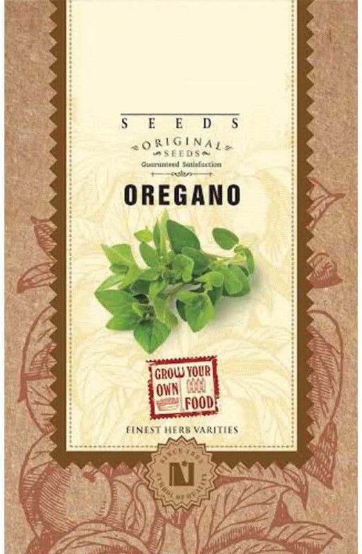 WILLVINE Oregano Herb Seeds-100 x Seeds Seed  (500 per packet)