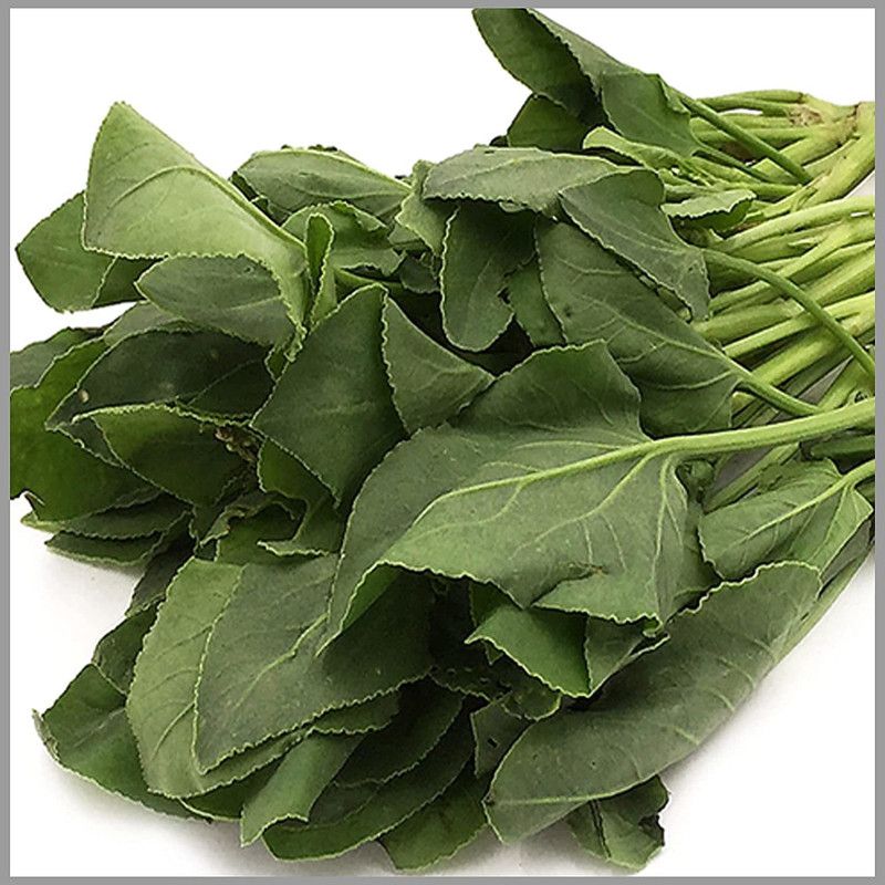 Nodoc Chukka Vegetable Seed  (46 per packet)