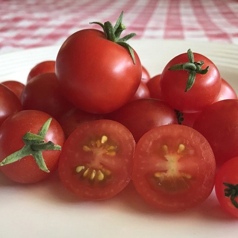 PMB Tomato Seed  (40 per packet)