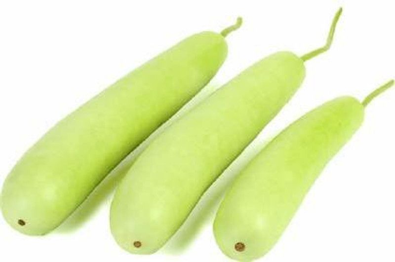 KANAYA Long Gourd Dudhi Zucca Lauki Seed  (94 per packet)