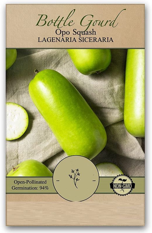 VibeX ® RXI-226 F1 Hybrid Bottle Gourd Long Seeds Seed  (50 per packet)