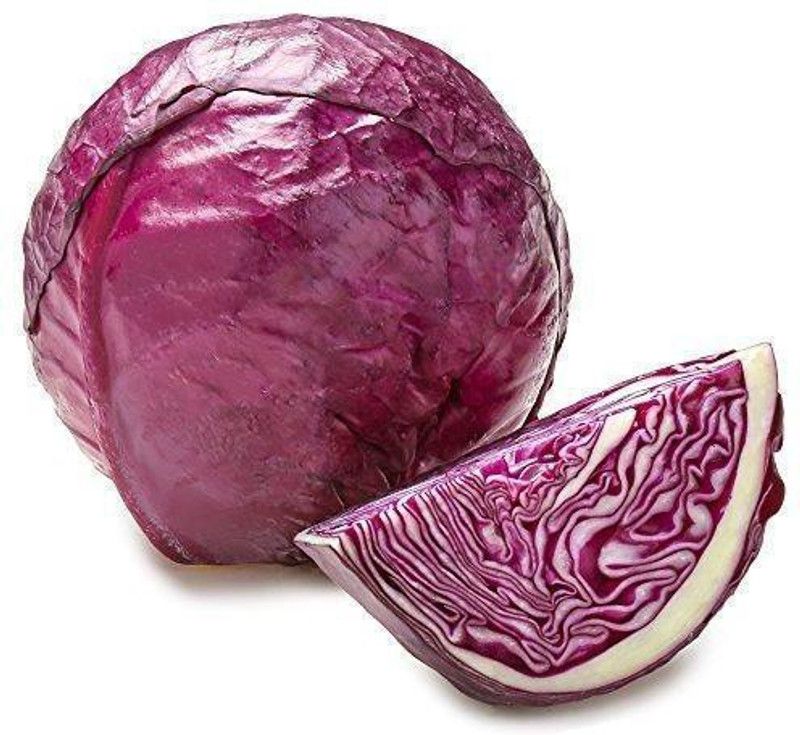 Paudha Cabbage purple plant Seed  (35 per packet)