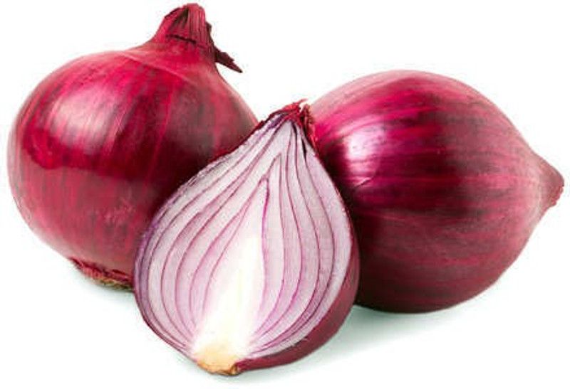 XOLDA Organic Onion Plant Seed  (88 per packet)