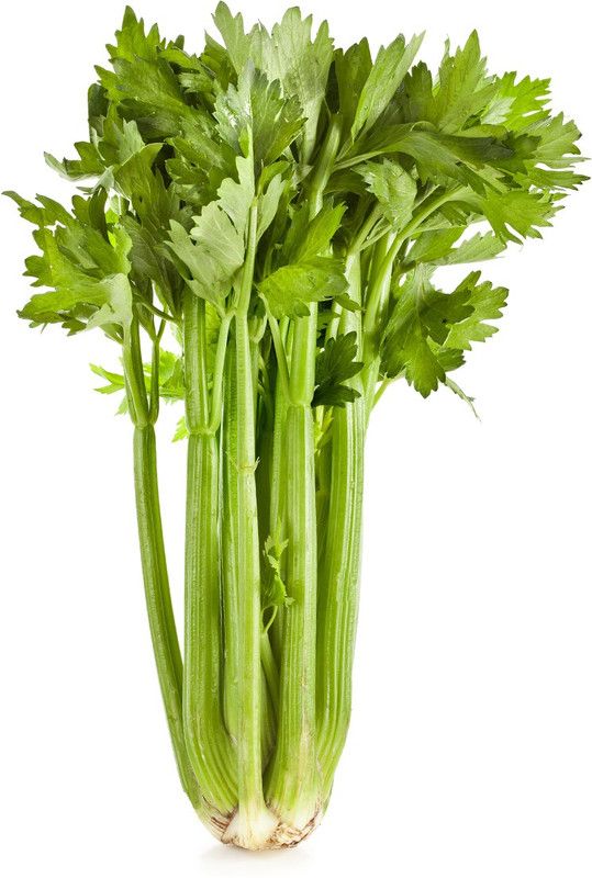 XOLDA Celery Seed  (11 per packet)